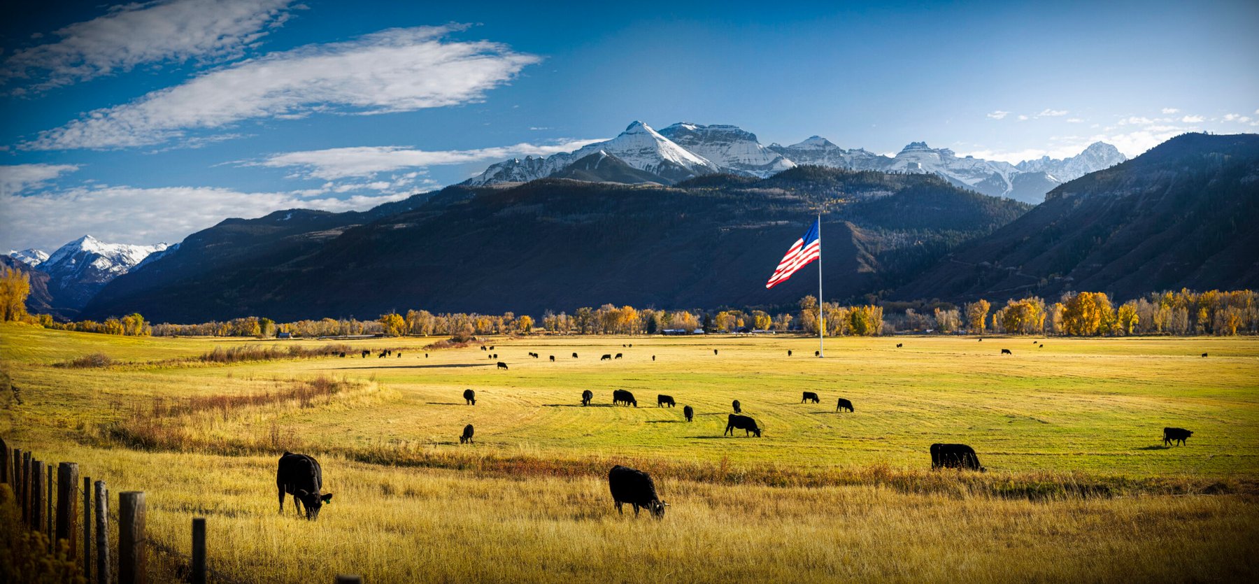 Farmers Innovation Fund wins USDA certification, opening Farm Credit capital to farmer-led agtech startups