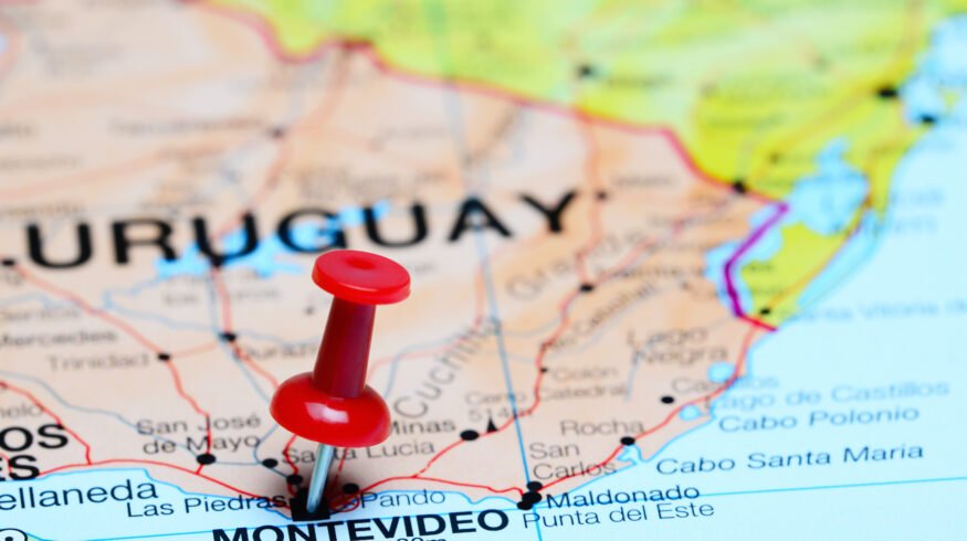 Cargill Uruguay fertilizer plant opens with 12,000 t storage to strengthen key blending hub