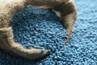 8 Florida lawmakers urge Trump to act on sulfur shortage idling U.S. phosphate plants