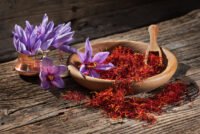 How to grow saffron at home and harvest your own spice