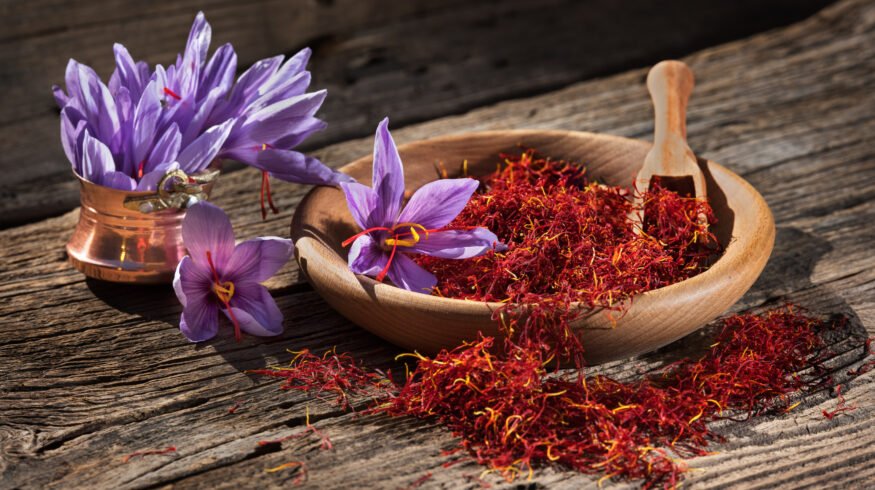 How to grow saffron at home and harvest your own spice