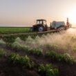 Texas Tech economist argues fertilizer prices driven by global shocks, not domestic market power