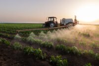 Texas Tech economist argues fertilizer prices driven by global shocks, not domestic market power