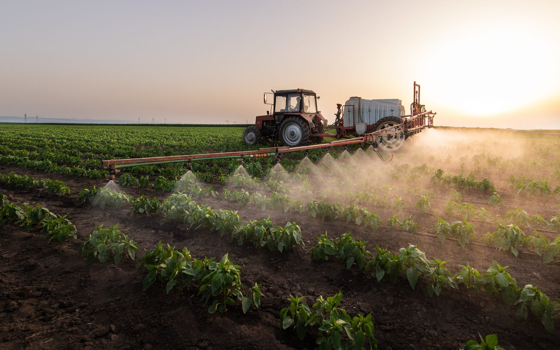 Texas Tech economist argues fertilizer prices driven by global shocks, not domestic market power