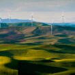 Food companies join new alliance to drive demand for green ammonia fertilizer