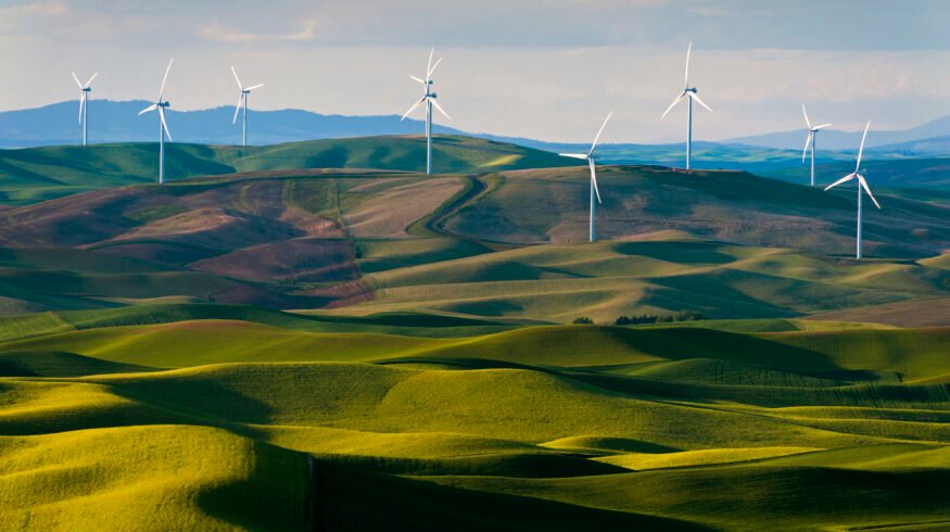 Food companies join new alliance to drive demand for green ammonia fertilizer