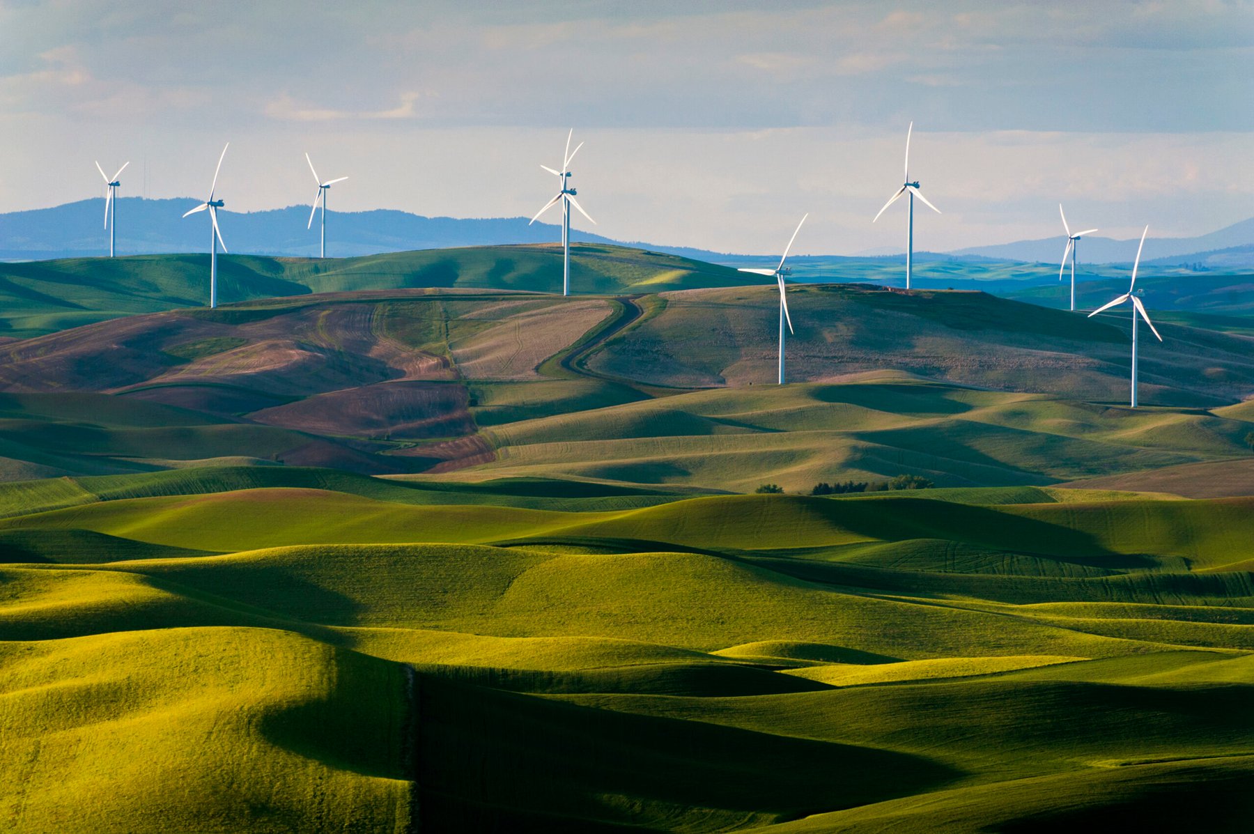 Food companies join new alliance to drive demand for green ammonia fertilizer