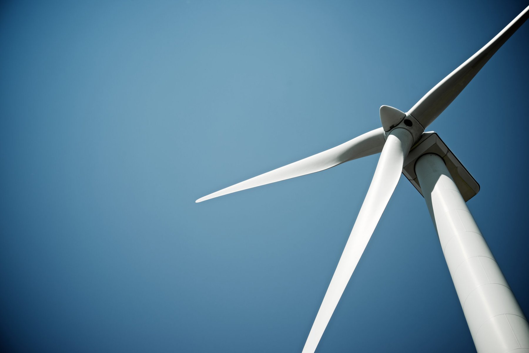 Minnesota green ammonia pilot scales to 1 tonne per day, proving wind-powered fertilizer production works