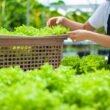 USDA awards $13.5 million to ease trade barriers for U.S. specialty crops