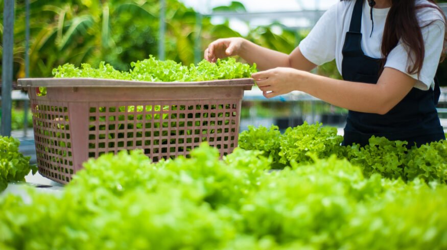 USDA awards $13.5 million to ease trade barriers for U.S. specialty crops