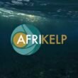 SAS Group acquires Afrikelp adding key seaweed biostimulant to its platform