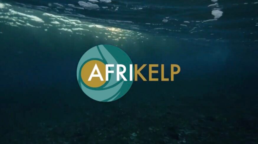 SAS Group acquires Afrikelp adding key seaweed biostimulant to its platform