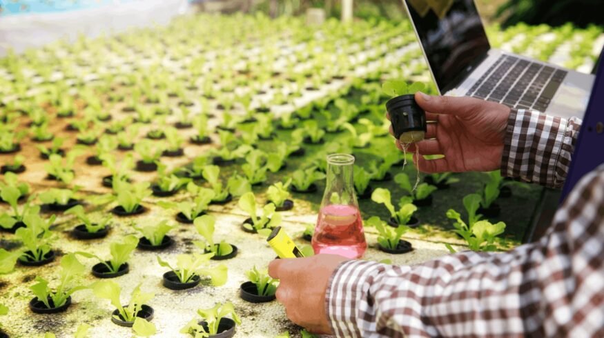 BioConsortia secures $15M to boost global launch of nitrogen-fixing seed treatment