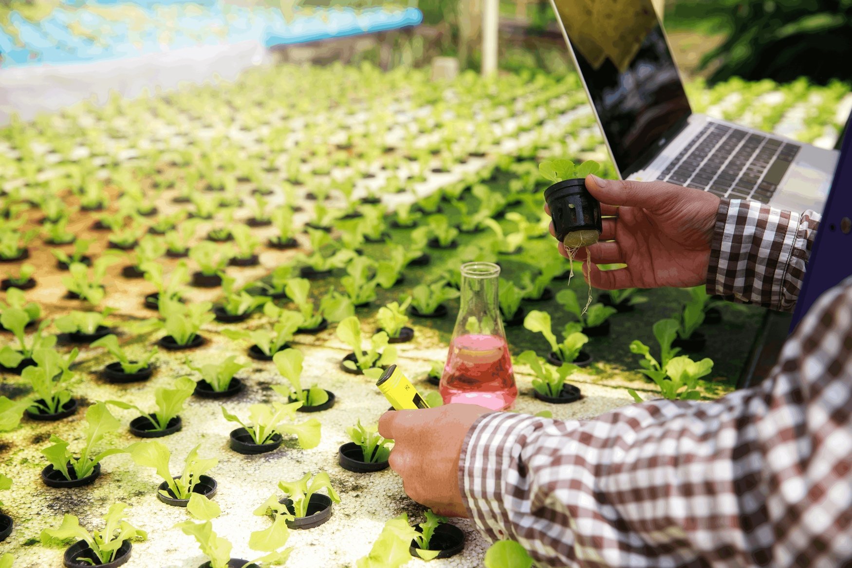 BioConsortia secures $15M to boost global launch of nitrogen-fixing seed treatment