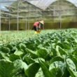 BioFirst takes 100% control of Biotrop, completing landmark Brazilian biologicals deal