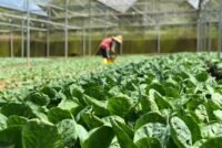 BioFirst takes 100% control of Biotrop, completing landmark Brazilian biologicals deal