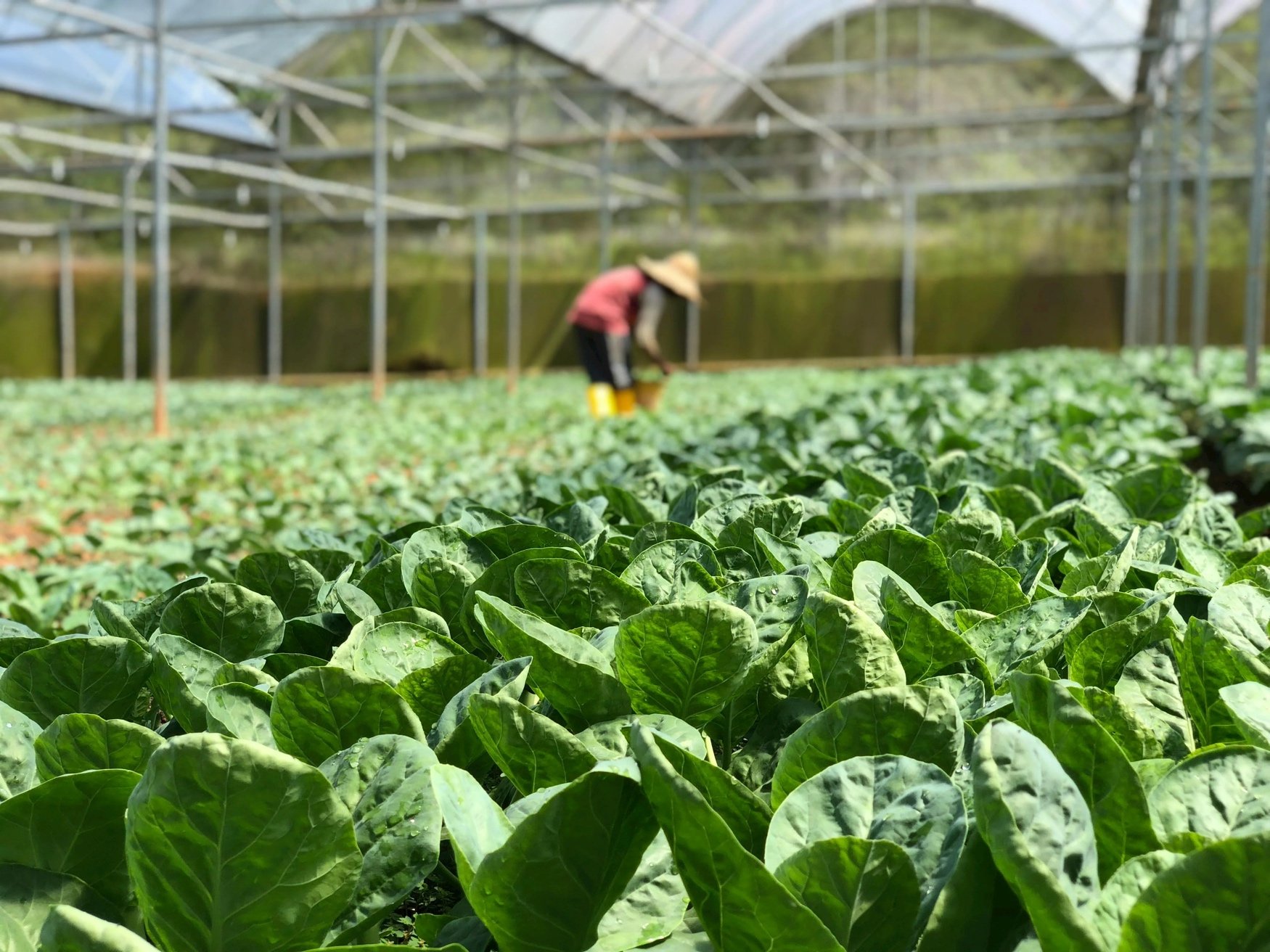 BioFirst takes 100% control of Biotrop, completing landmark Brazilian biologicals deal