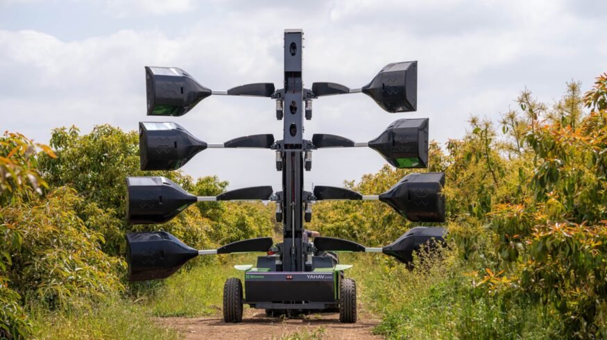 BloomX raises $13 million to scale robotic pollination technology