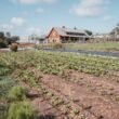 Coastal Roots Farm turns regenerative agriculture into a community operating model