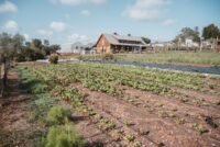 Coastal Roots Farm turns regenerative agriculture into a community operating model