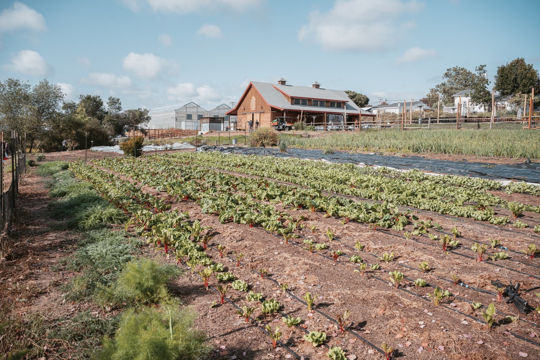 Coastal Roots Farm turns regenerative agriculture into a community operating model