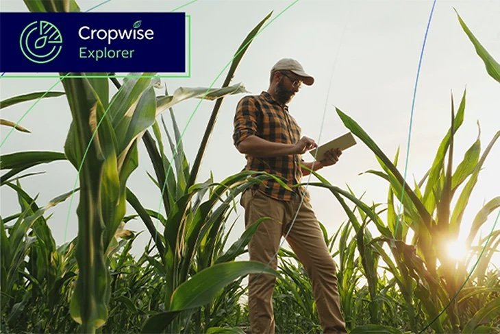 Cropwise Explorer boosts retail agronomy as Syngenta combines 3 key data sources in one tool