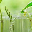 Nitrous oxide emissions fall up to 48% with reduced tillage in organic grain transition, study finds