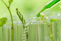 Nitrous oxide emissions fall up to 48% with reduced tillage in organic grain transition, study finds