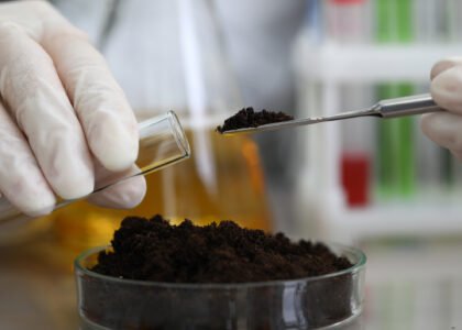 Manganese biochar cuts N₂O emissions 89% in key paddy soil study, boosting nitrogen retention