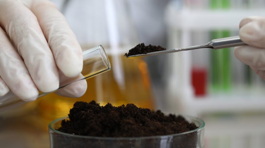 Manganese biochar cuts N₂O emissions 89% in key paddy soil study, boosting nitrogen retention