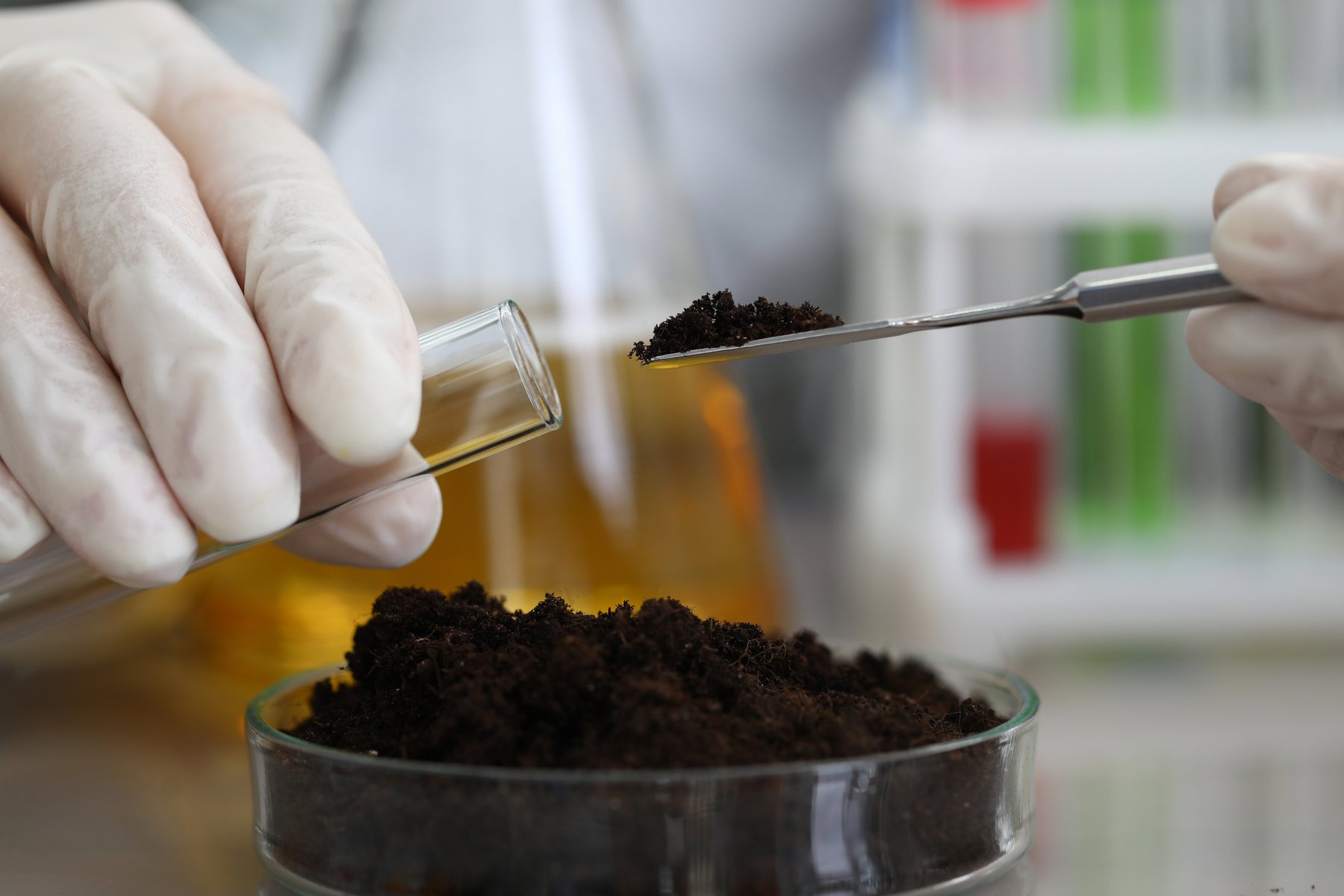 Manganese biochar cuts N₂O emissions 89% in key paddy soil study, boosting nitrogen retention