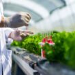 Nitrogen fixation breakthrough: Nature study finds “off switch” that locks 3 nitrogenase units