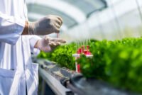 Nitrogen fixation breakthrough: Nature study finds “off switch” that locks 3 nitrogenase units