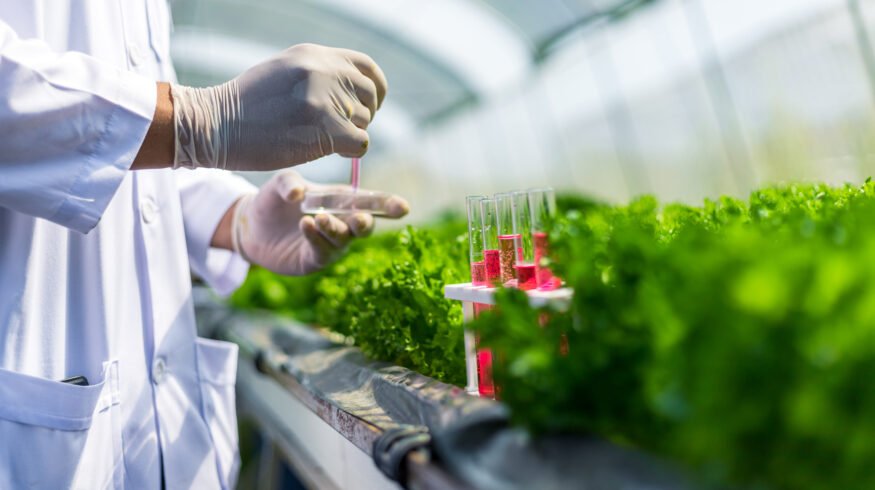 Nitrogen fixation breakthrough: Nature study finds “off switch” that locks 3 nitrogenase units