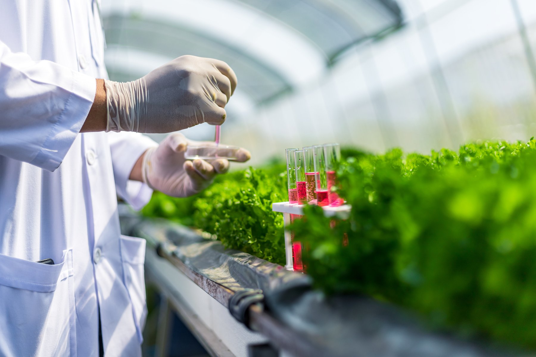 Nitrogen fixation breakthrough: Nature study finds “off switch” that locks 3 nitrogenase units