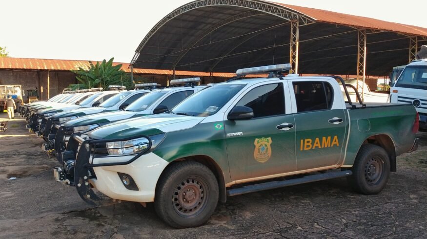 Brazil Bioinputs Law decree could speed key Ibama approvals as reviews hit 6 months