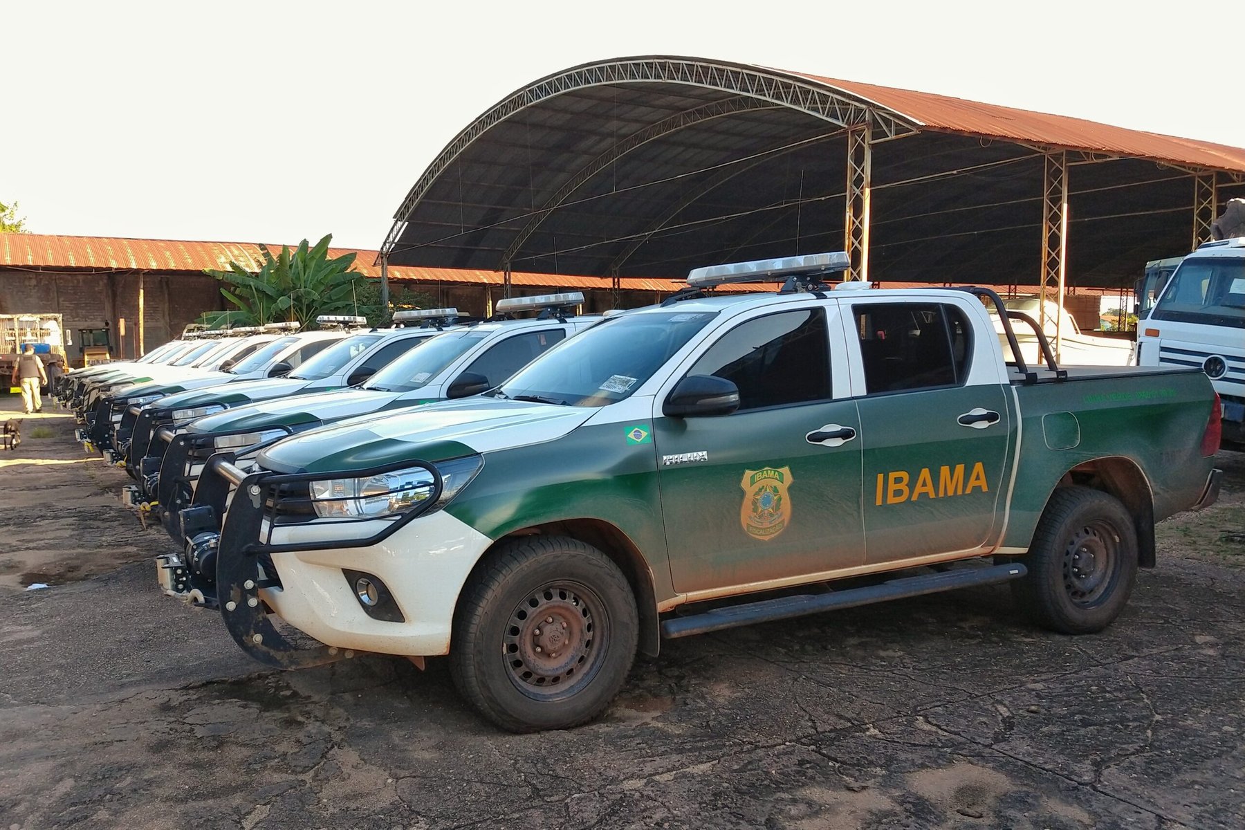 Brazil Bioinputs Law decree could speed key Ibama approvals as reviews hit 6 months