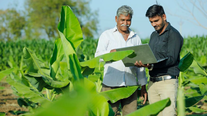India fertilizer stocks surge 38% to 17 million metric tons ahead of key rabi season