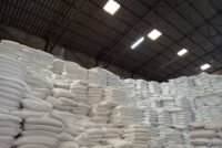 Brazil urea price climbs to $488/t as India books just 410,000 t in key tender