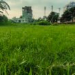 Bangladesh DAP plant idle 4 months as critical phosphoric acid approval stalls