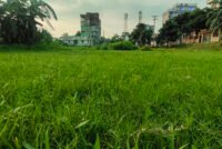 Bangladesh DAP plant idle 4 months as critical phosphoric acid approval stalls