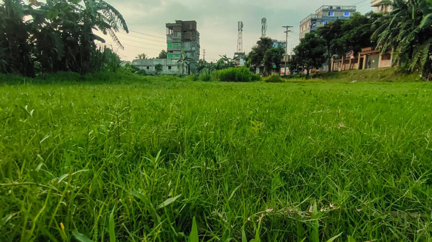 Bangladesh DAP plant idle 4 months as critical phosphoric acid approval stalls