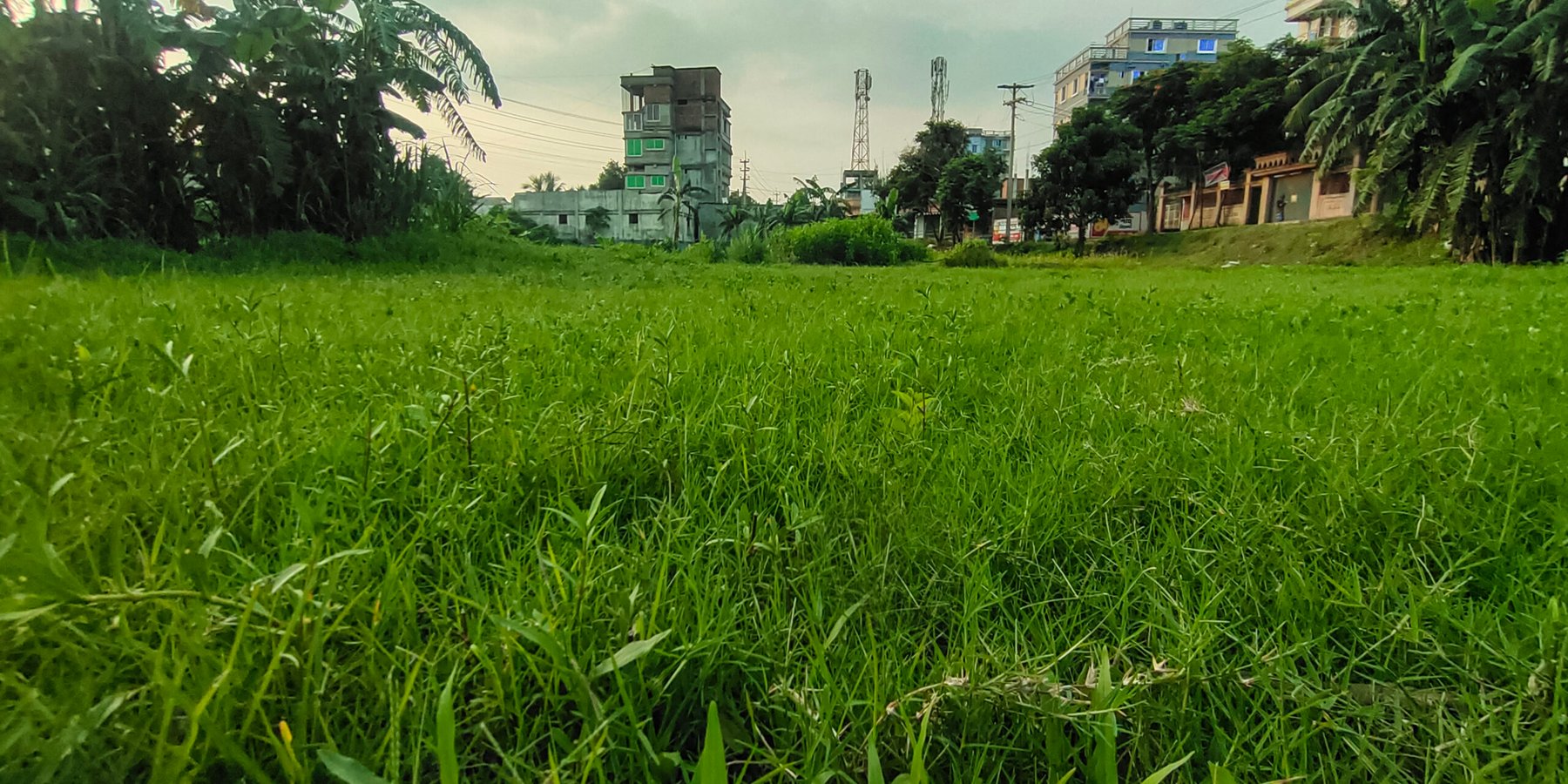 Bangladesh DAP plant idle 4 months as critical phosphoric acid approval stalls