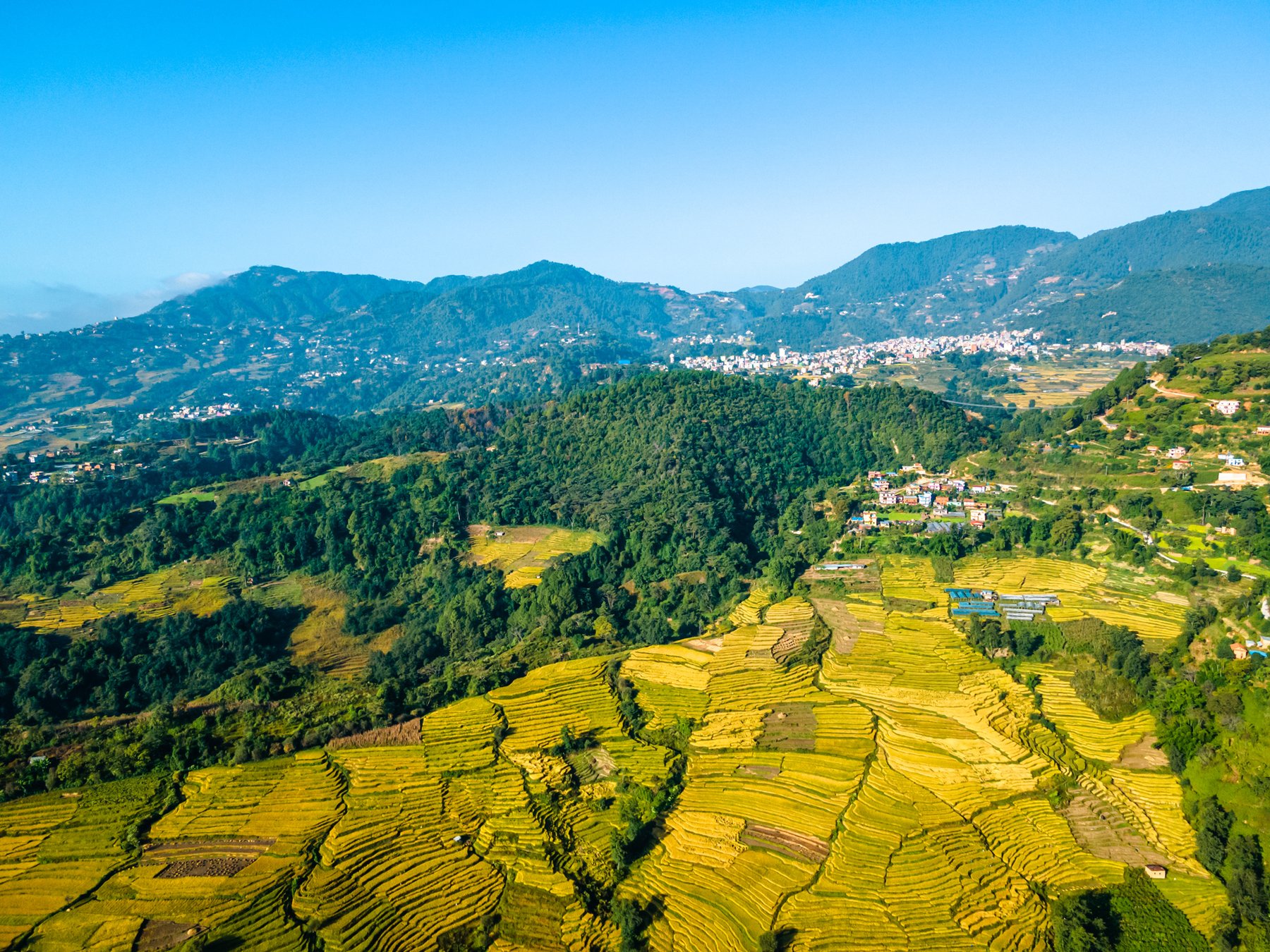 Nepal fertilizer supply hits record 538,436 metric tons as key subsidy bill reaches $258 million