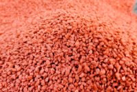 Buffalo Potash secures Saskatchewan approval for 125,000-ton Disley module