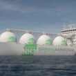 Energy China completes first commercial ship-to-ship green ammonia bunkering