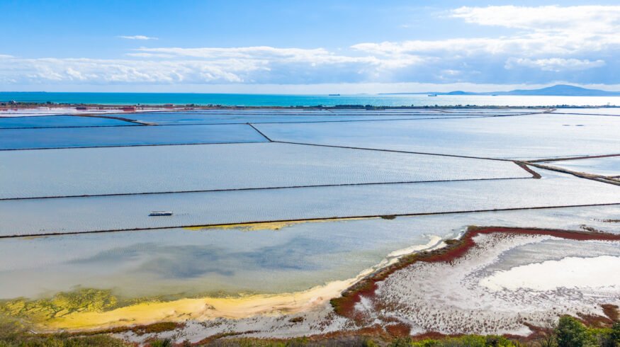 Saline soil breakthrough: microbes, manure and silica lift oat hay yield 25% in China trial