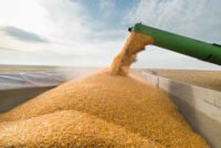 Seed Sovereignty plan commits $180 million as DOJ steps up key seed pricing probe