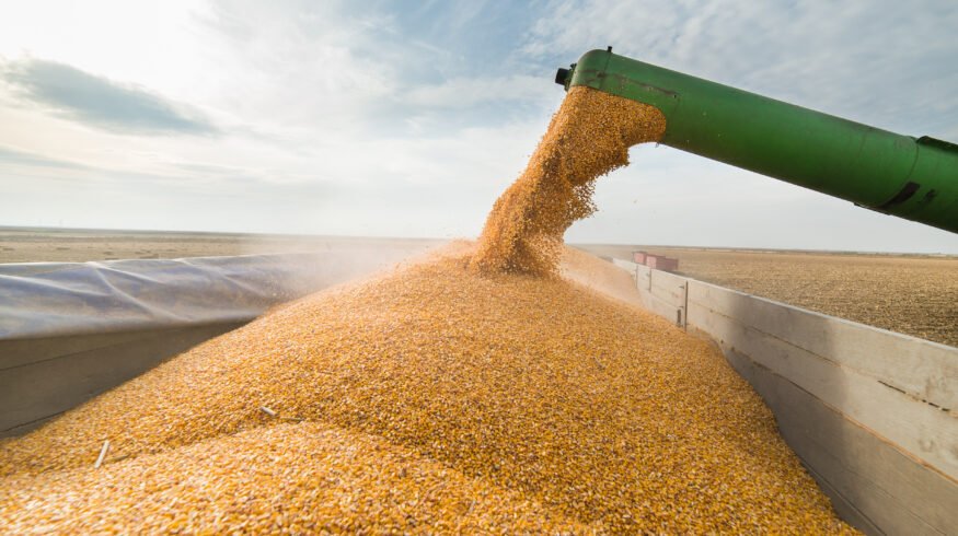 Seed Sovereignty plan commits $180 million as DOJ steps up key seed pricing probe