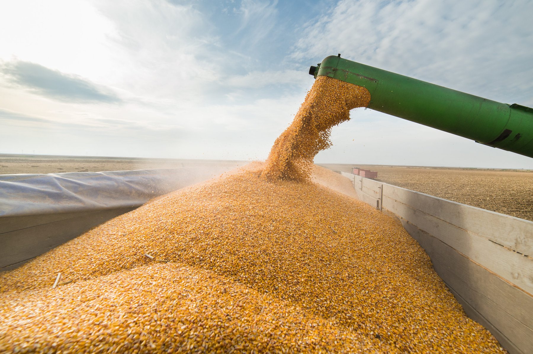 Seed Sovereignty plan commits $180 million as DOJ steps up key seed pricing probe